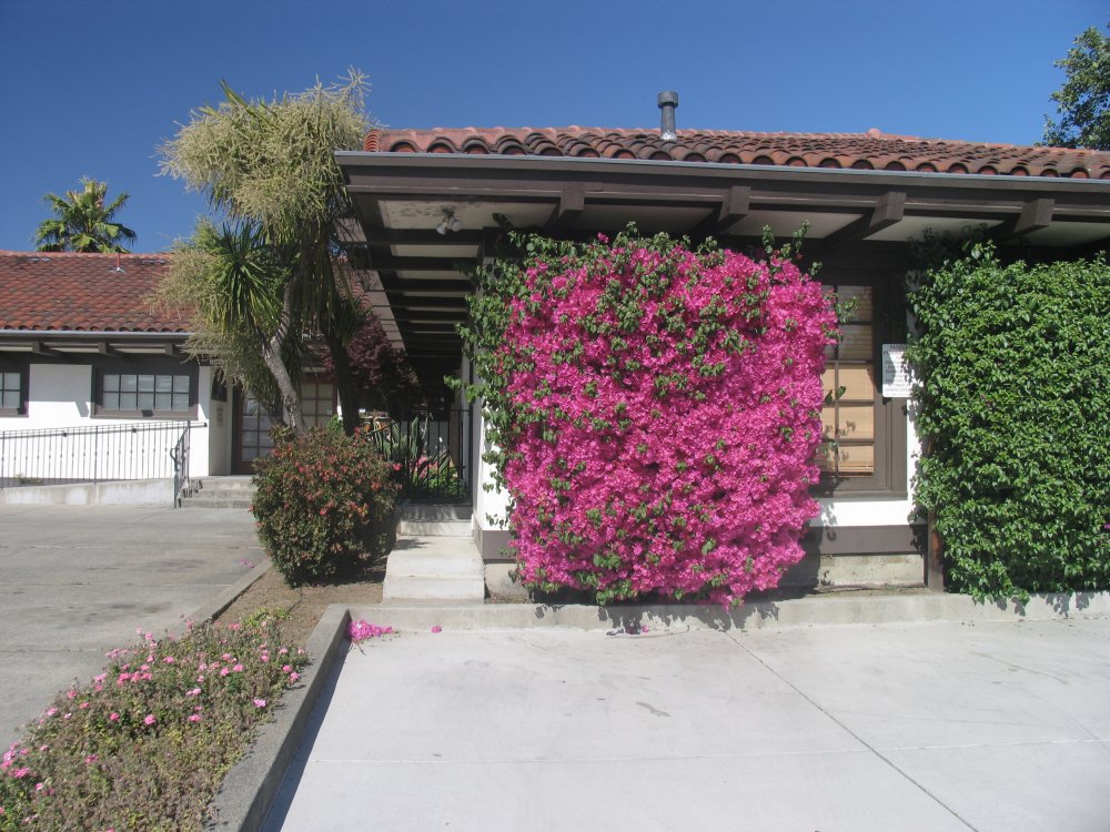 Landscaping Santa Rosa Ca