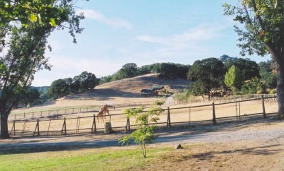 Safari West