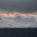 antarctica-oceanwide-expeditions-291