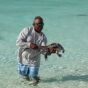 Stanley-Cay-Bahamas-Swimming-Pigs-24