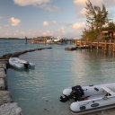 Stanley-Cay-Bahamas-Swimming-Pigs-6