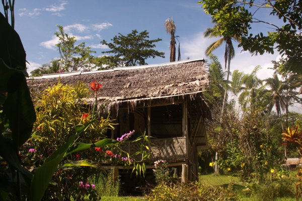 Kokoda Homestay Papua New Guinea 2554