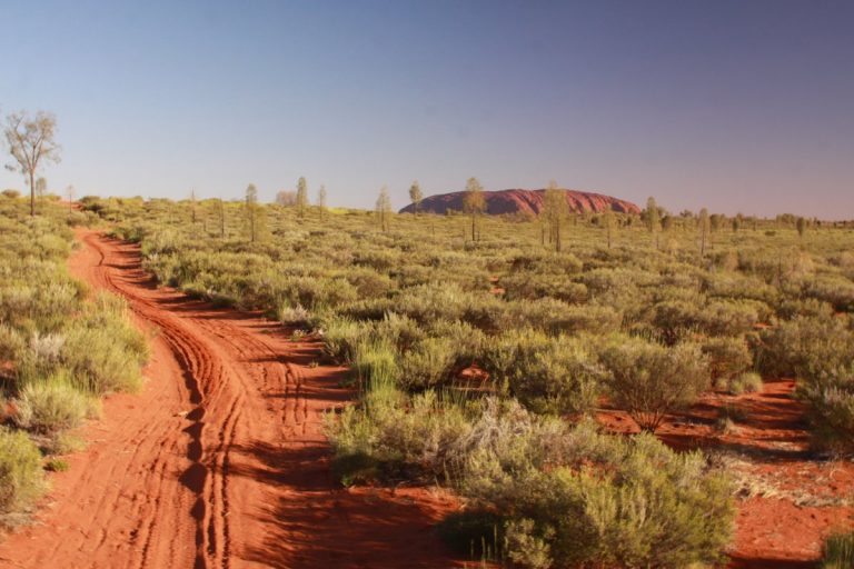 Camels to Sounds of Silence, Uluru Australia - Dave's Travel Corner