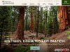 Sequoia Visitors Guide