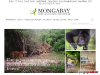 MongaBay