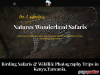 Birding Tours & Wildlife Photography Safaris Kenya