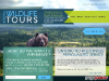 Estonian Wildlife Tours