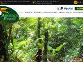 Amazon Brazil Jungle Tours