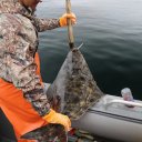 waterfall-resort-alaska-fishing-5