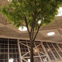 heydar-aliyev-international-airport-4