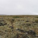 Yukon-Landscape