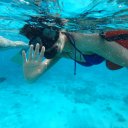 stingray-city-cayman-islands-1