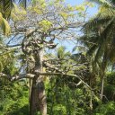 Isla-Grande-Rosario-Islands-Colombia-4