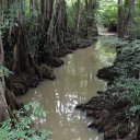 dominica-nature-island-17