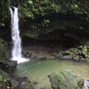 dominica-nature-island-31