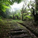 dominica-nature-island-33_0