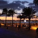 Alexandria at dusk - taken from the famous Alexandria Library