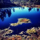 lahema-national-park-bog-lake