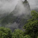 moorea-french-polynesia-tahiti-1