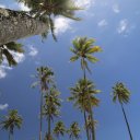 moorea-french-polynesia-tahiti-9