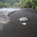 tahiti-french-polynesia-7