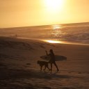 Surfer walking back after productive day in the barrels