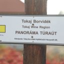 Tokaji-Hungary-1