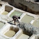 Tannery vats in Fez Morocco