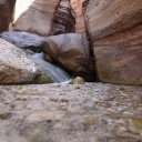 jordan-wadi-rum-8