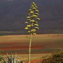 Beautiful scenery in Lesotho