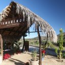 San-Jose-del-Cabo-Organic-Farm-10