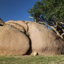 mongolia-nature-17