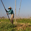 myanmar-inle-lake-49