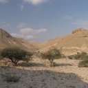 Oman-Wadi