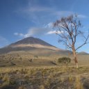 Tres Arboles, Arequipa