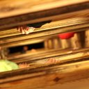 Looking down the many levels of steps leading to the Wieliczka Salt Mine