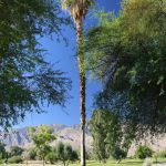 mesquite-golf-course-palm-springs