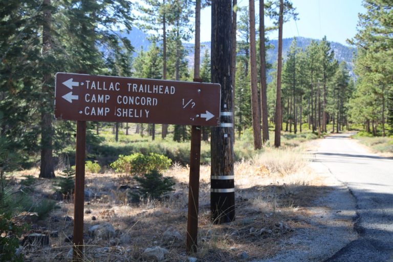 Guides - Lake Tahoe, CA - Hiking & Biking - Dave's Travel Corner