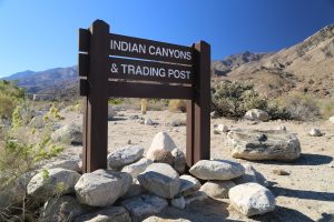 indian-canyons-palm-springs-1