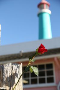 Rose-Fishermans-Wharf-Monterey