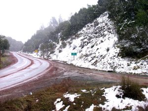 This photo above was taken near the summit of Hopland road, Highway 175 in mid march in the middle of a rare snowstorm!