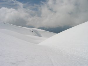 Shasta-Snow