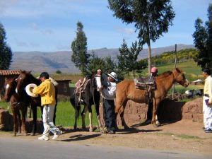 Cuzco-Horseride