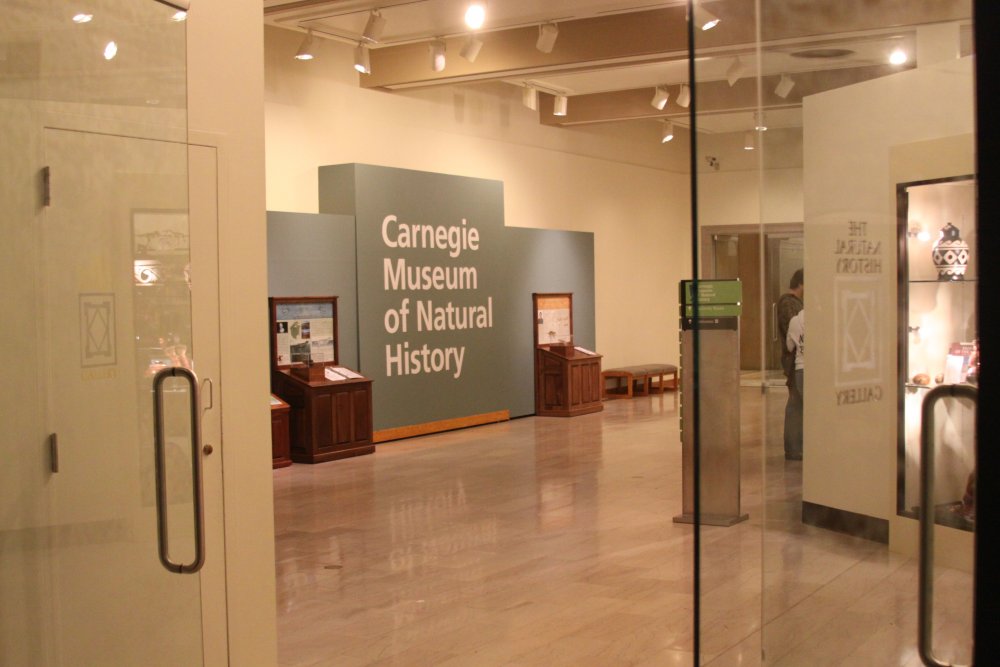 carnegie-museum-natural-history