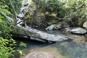 el-yunque (1)