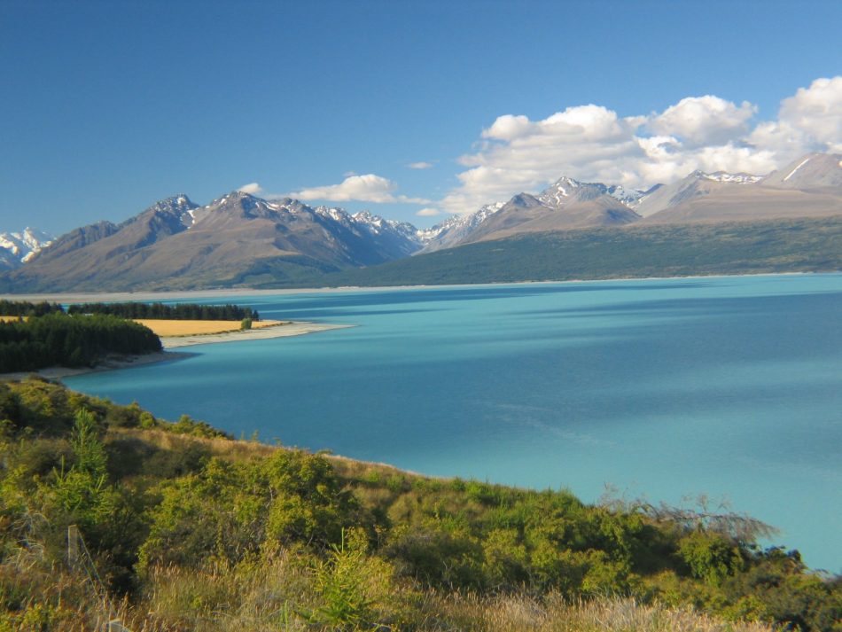 Guides - New Zealand, South Island - Mt Cook - Dave's Travel Corner