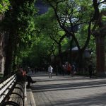 Central-Park-Walkway