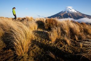 new-zealand-trekking