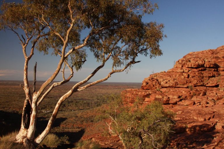 Notes from the Great Australian Outback, Northern Territory - Dave's ...