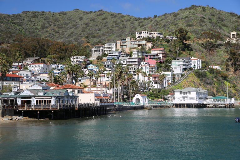 Catalina Express continues Free RIDE on Your Birthday Dave's Travel